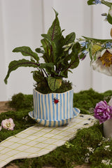 4.5" Ladybug Pot with Saucer