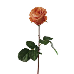 20.5" Natural Touch Ecuadorian Rose