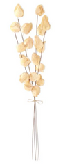 28.5" Chinese Lantern Bundle (Sold Separately)