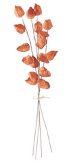 28.5" Chinese Lantern Bundle (Sold Separately)