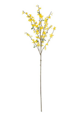 44" Forsythia Stem
