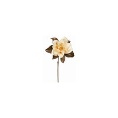 27" Cream Magnolia