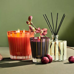 Autumn Plum Reed Diffuser