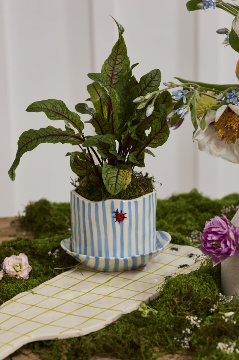 4.5" Ladybug Pot with Saucer