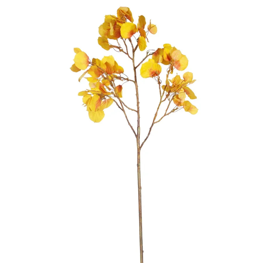 42" Aspen Spray