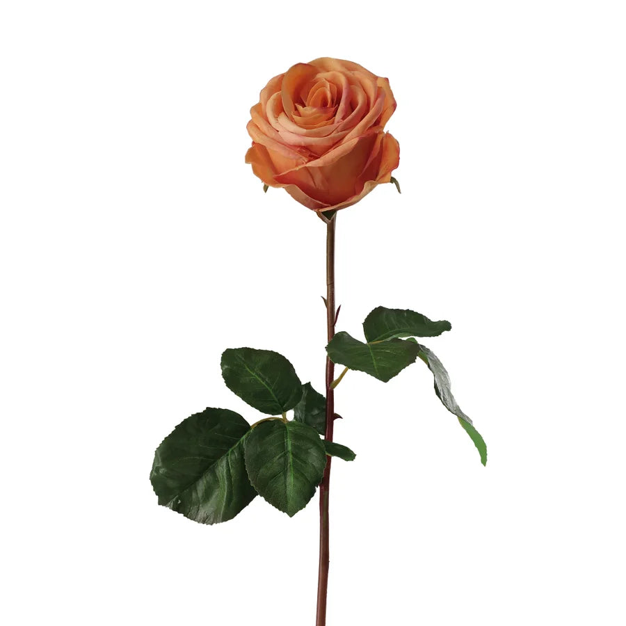 20.5" Natural Touch Ecuadorian Rose