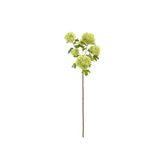 44" Light Green Viburnum