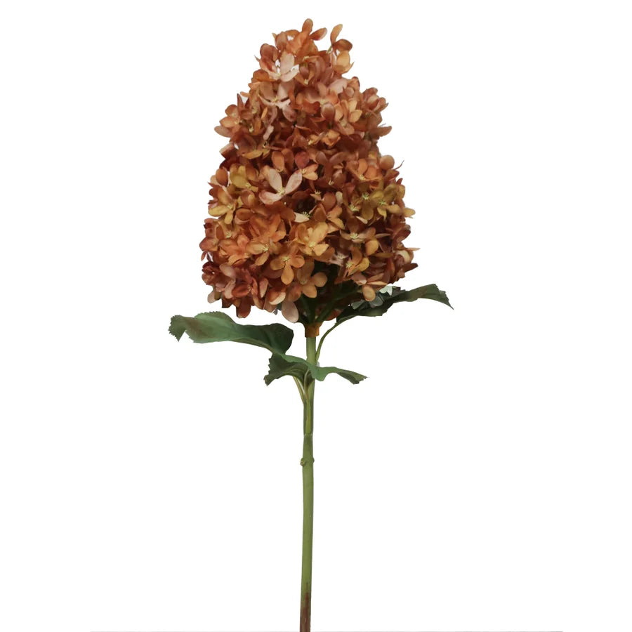 28" Peegee Hydrangea