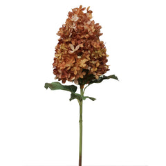 28" Peegee Hydrangea