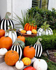 25.5" Striped Pumpkin, Tall