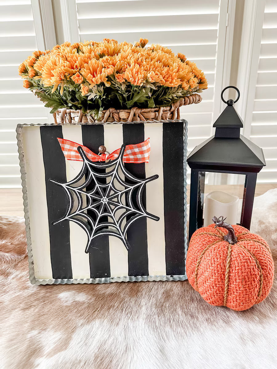 8" Spider Web Charm