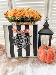 8" Spider Web Charm
