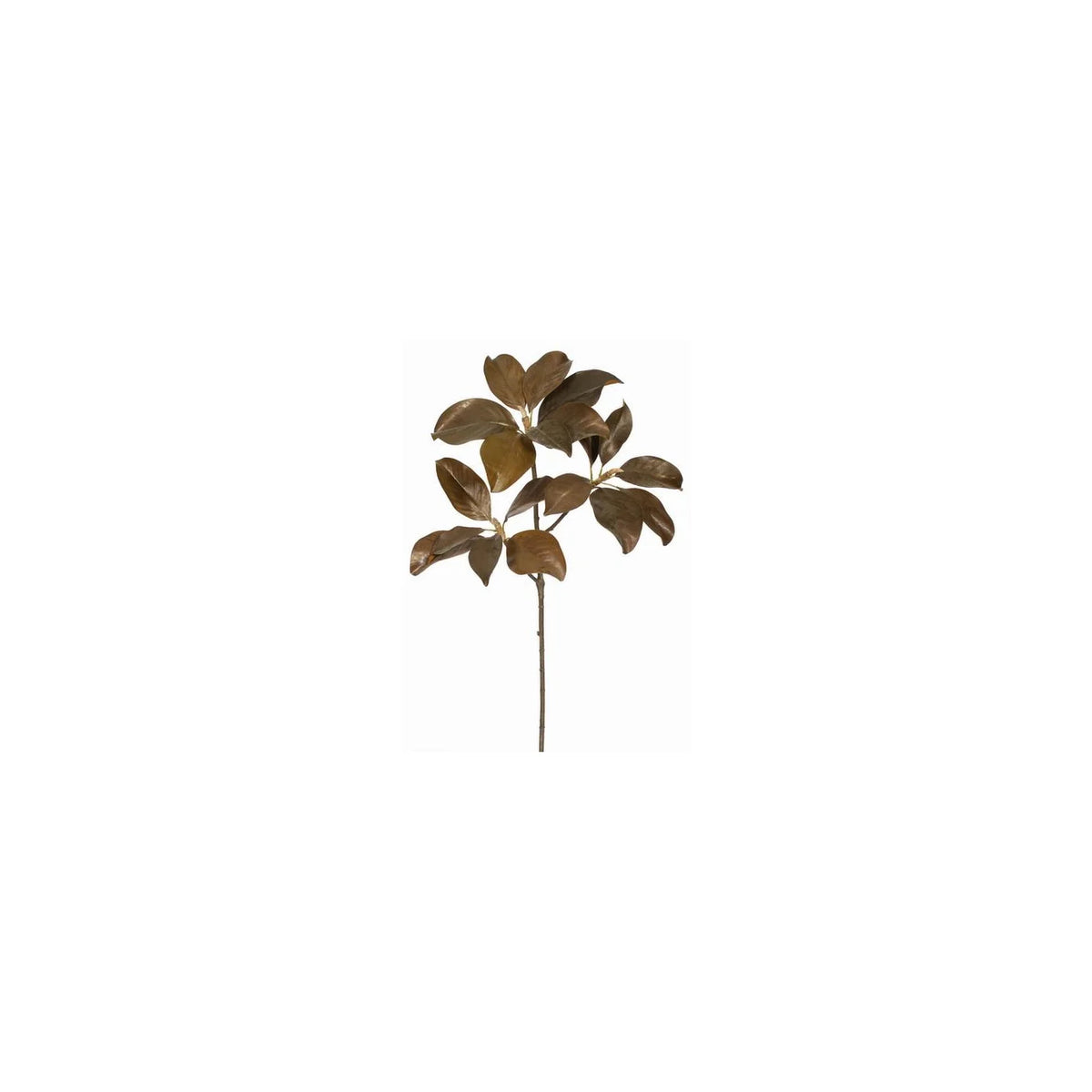 41" Brown Magnolia Leaf Branch