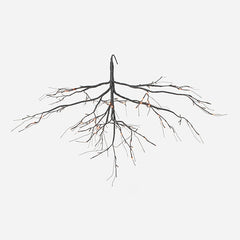 55" Twinkling Hanging Tree Branch