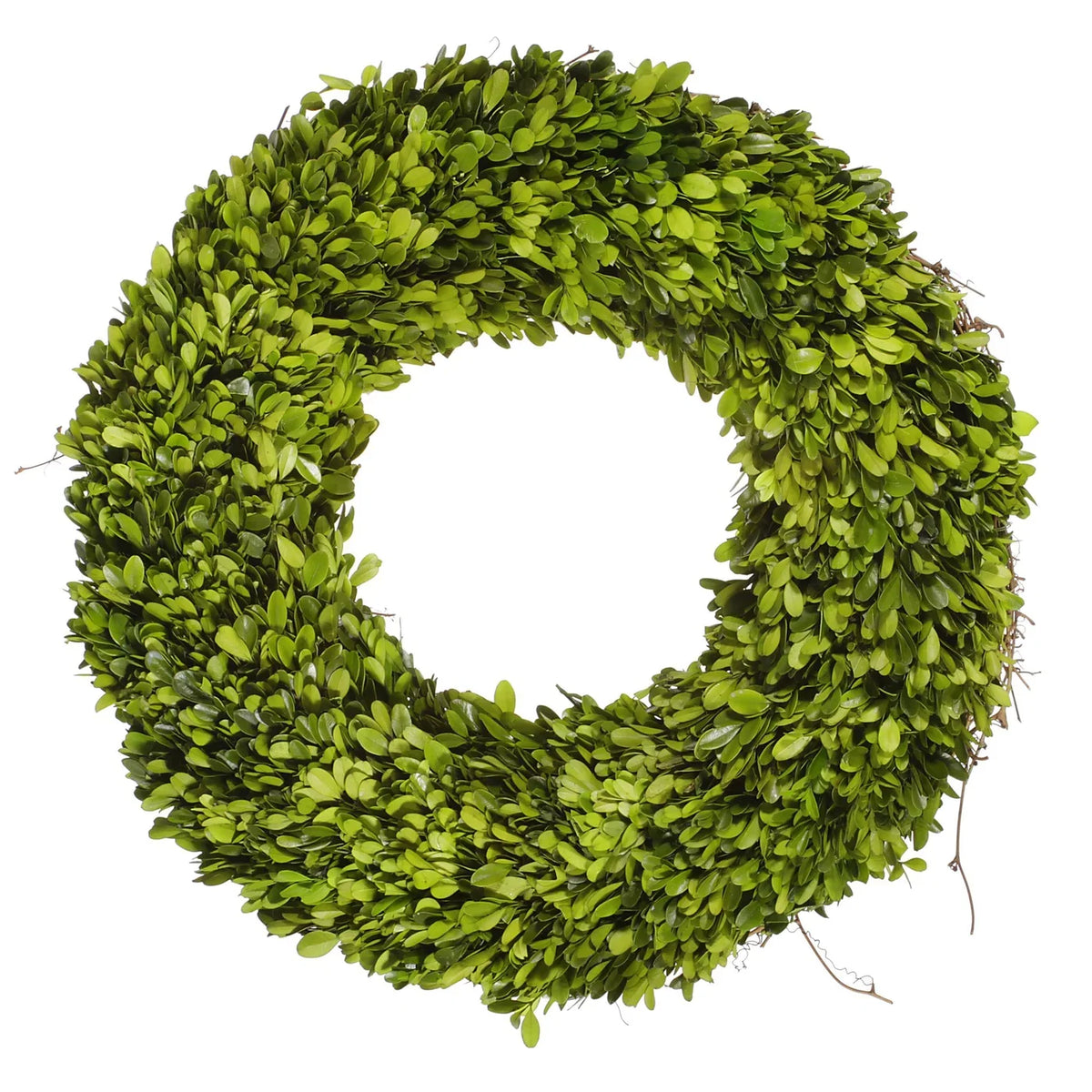 20" Boxwood Wreath
