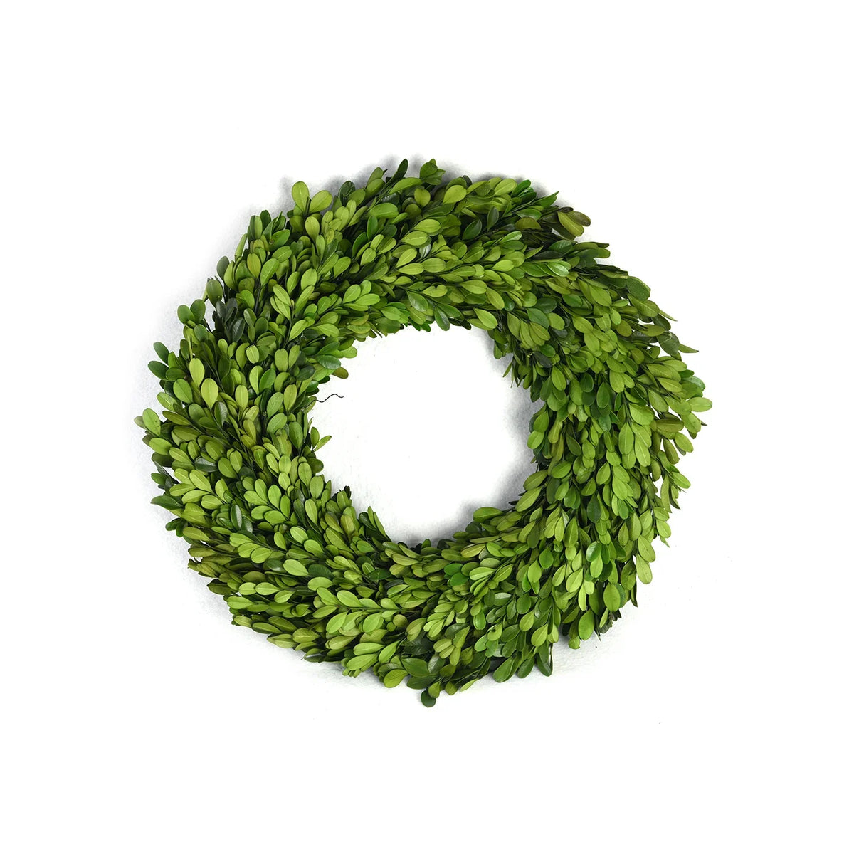 24" Boxwood Wreath