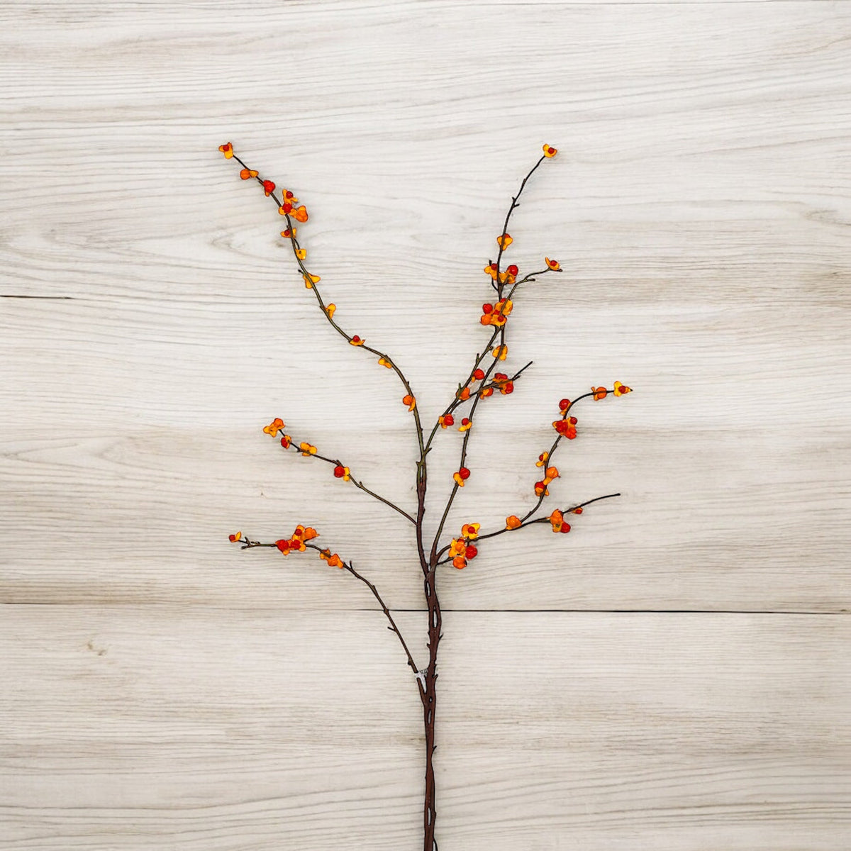 45" Wild Bittersweet Berry Spray