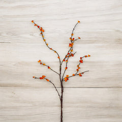 45" Wild Bittersweet Berry Spray