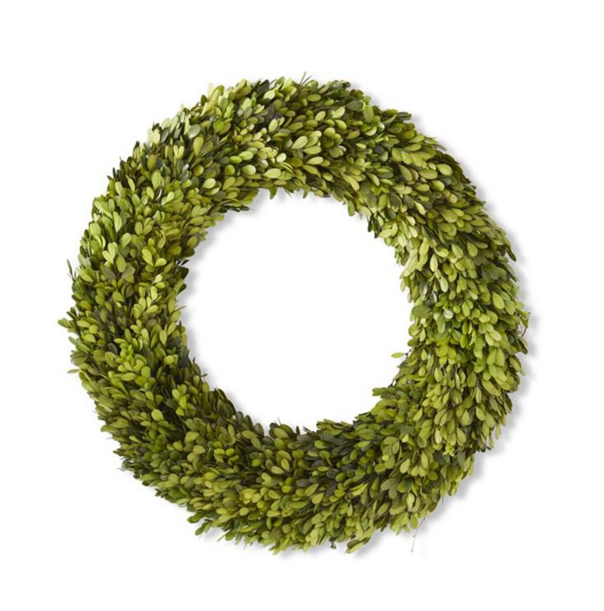 24" Boxwood Wreath